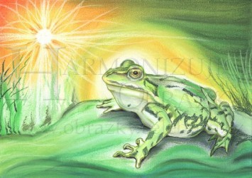 Přáníčko: Žába