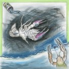 Mrtvý potok a co rak?