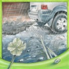 Uschlý čtyřlístek